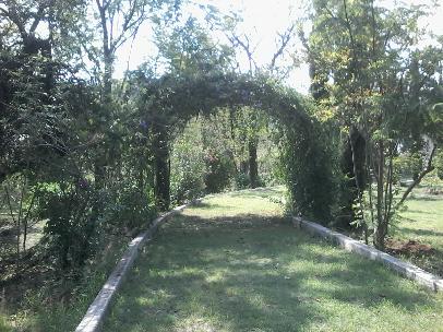 AREA VERDES